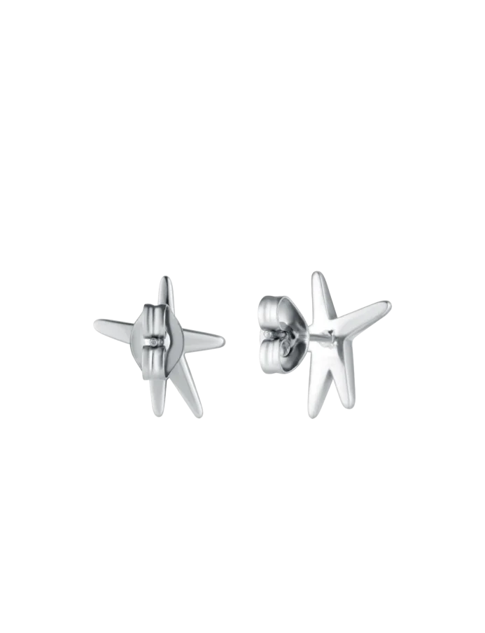 Cercei Nyxa Silver