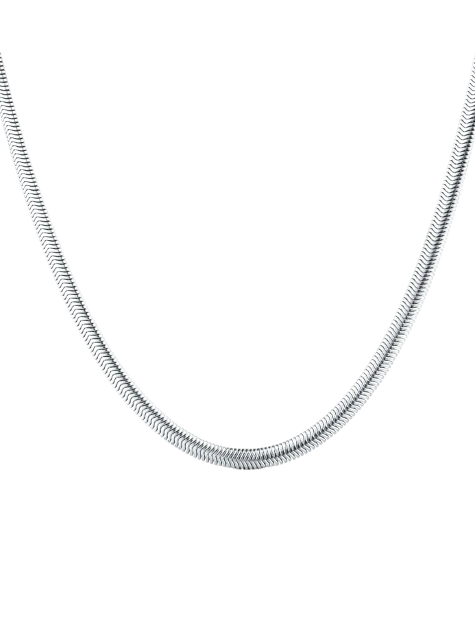 Colier Evoa Silver