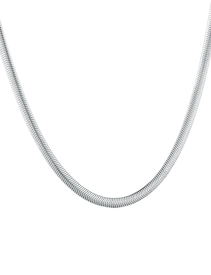 Colier Evoa Silver