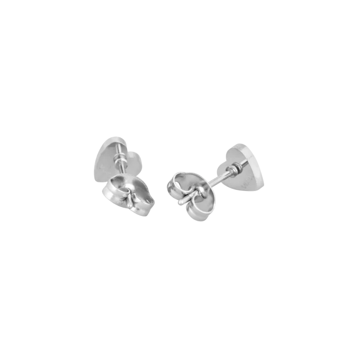 Cercei Ischi Silver