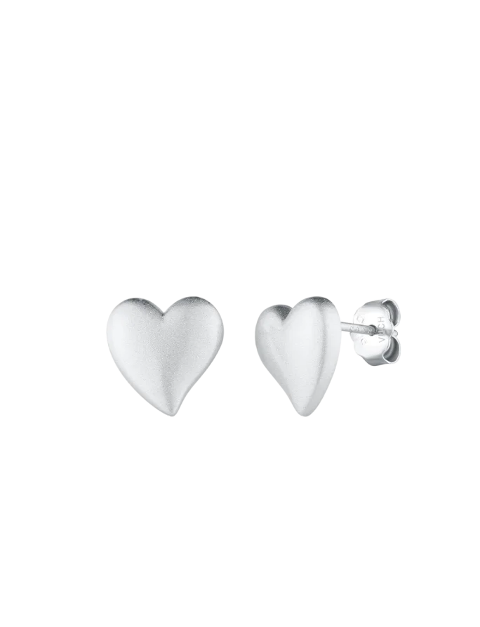 Cercei Disa Silver