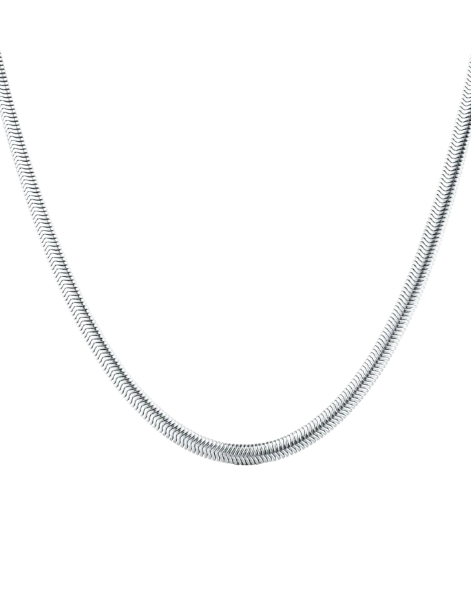 Colier Evoa Silver