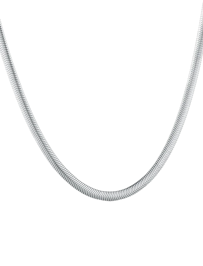 Colier Evoa Silver