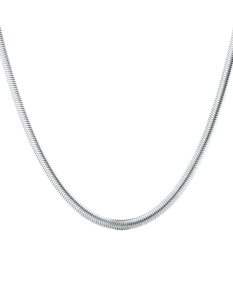 Colier Evoa Silver