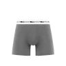 Ragaz Grey