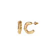 Cercei Lyrae Gold